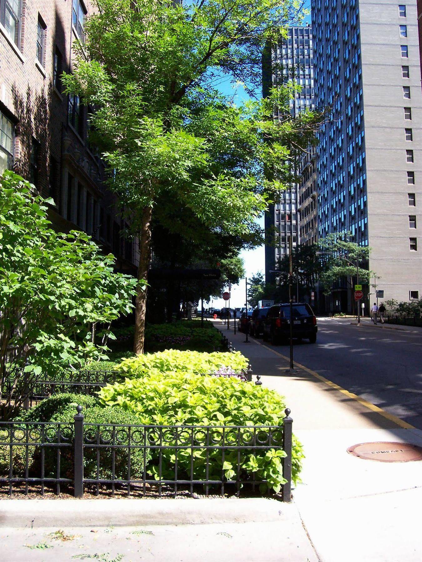 Dewitt Hotel And Suites Chicago Ngoại thất bức ảnh